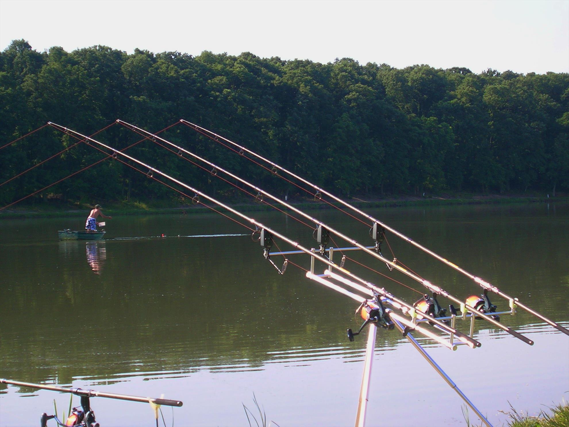 Pe maluri de ape - dscn0944.JPG